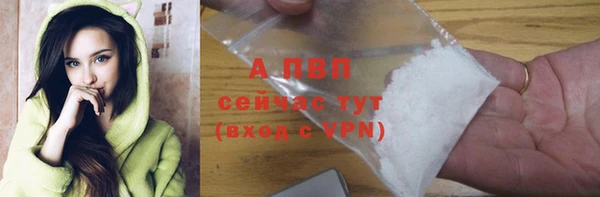 эйфоретик Гусев