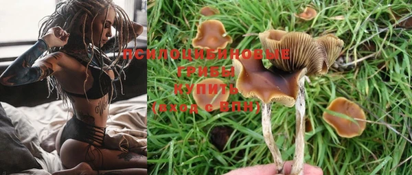 эйфоретик Гусев