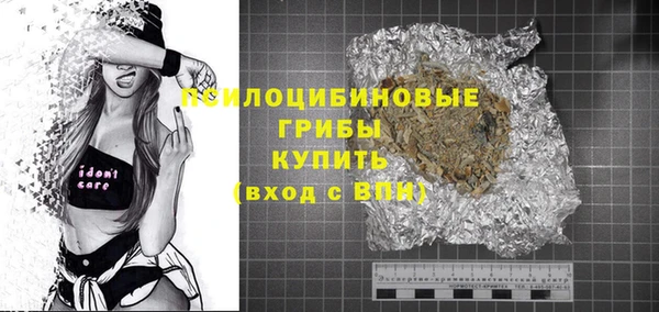 эйфоретик Гусев