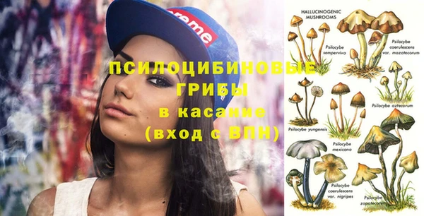 экстази Дмитриев