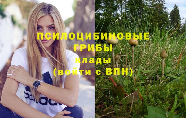 кокаин перу Гусиноозёрск