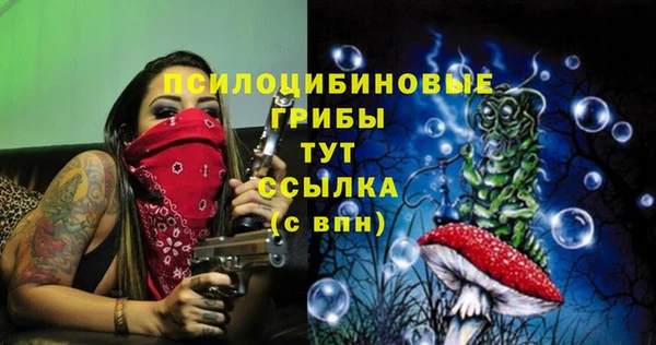 эйфоретик Гусев