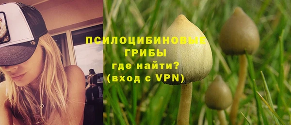 эйфоретик Гусев
